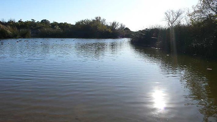 Lake Vista 101-138  scaled 800