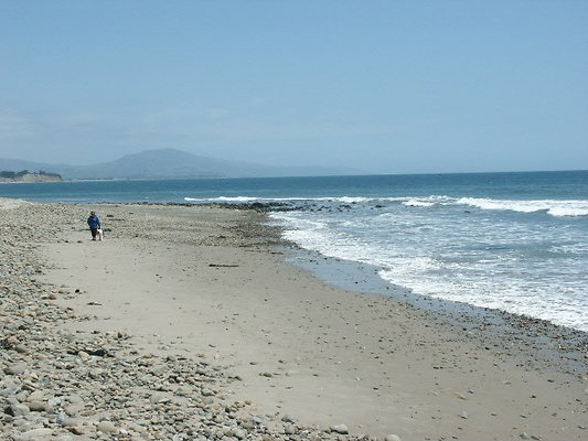 PICT0334