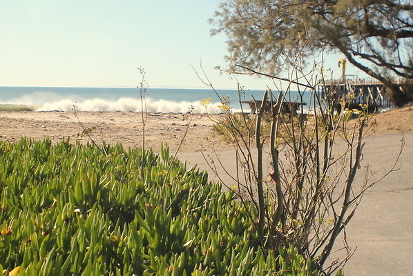 IMG 9697 IMG 9697