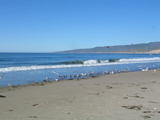 Jalama Ranch Beach.SB