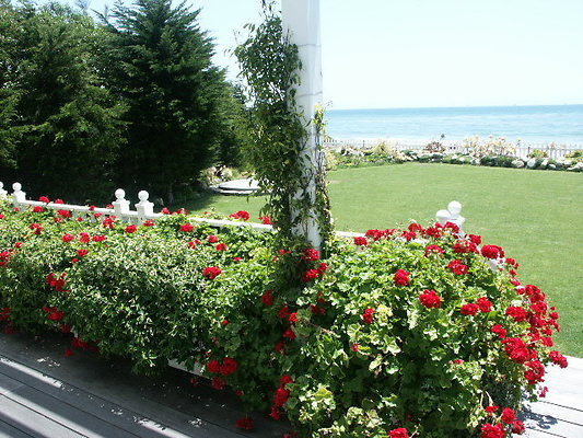 PICT0251