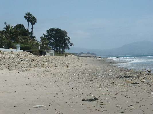 PICT0310