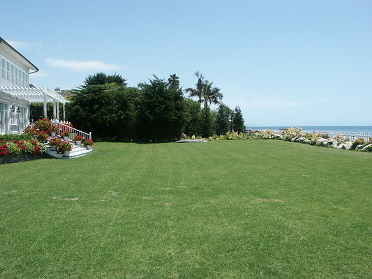 PICT0229