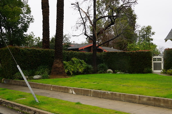 DSC00328