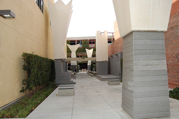 DSC 0265