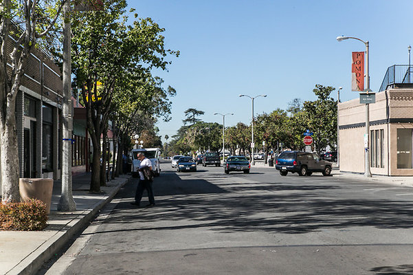 Pomona.93