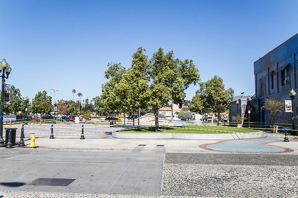 Pomona.113