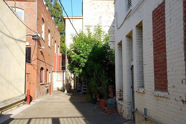 DSC 0378
