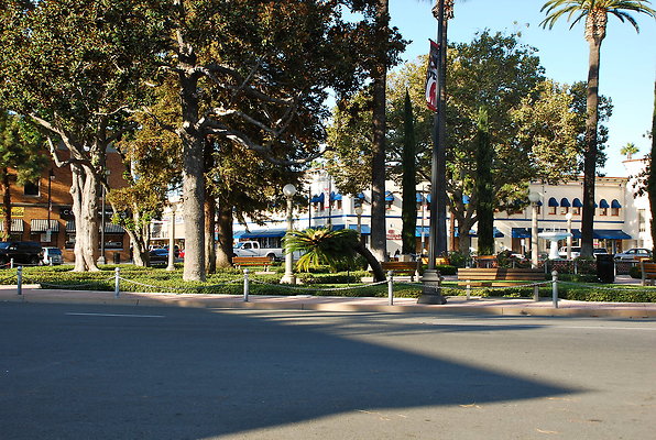 DSC 0323