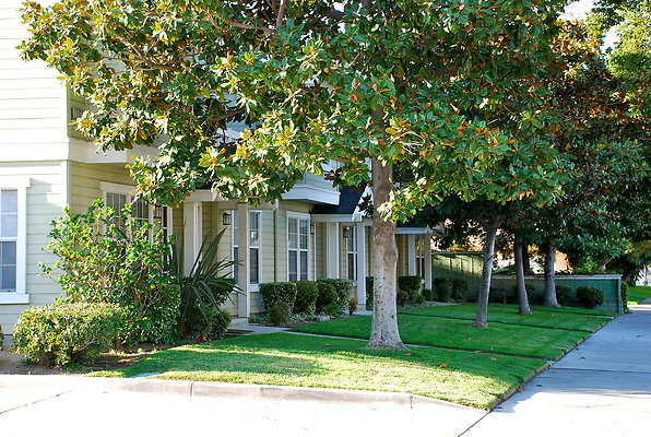 DSC 0380