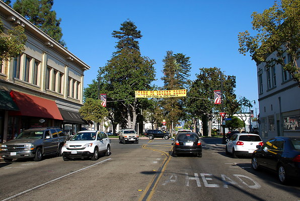 DSC 0317