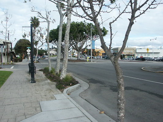 PICT0322