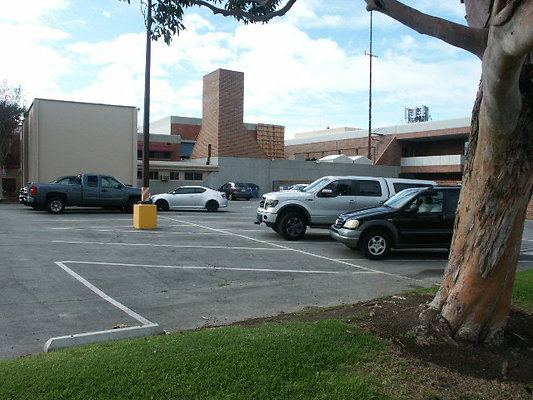 PICT0333