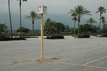 113