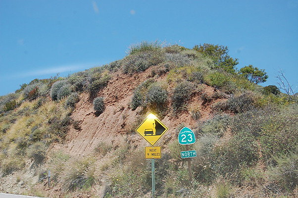 DSC 0468