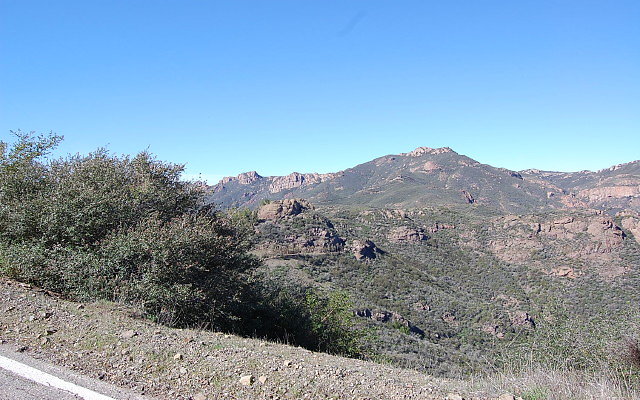 DSC 0135