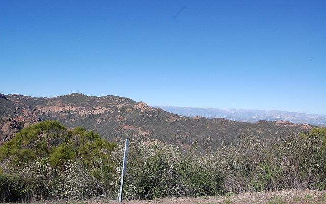 DSC 0218
