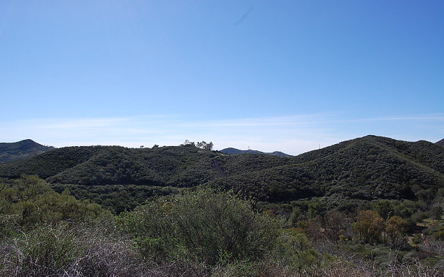 DSC 0292