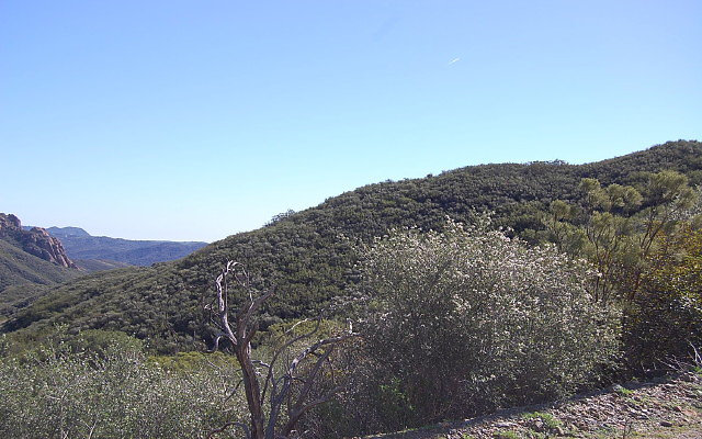 DSC 0297