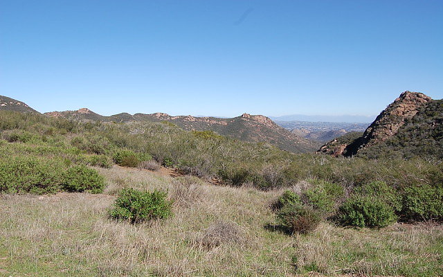 DSC 0268