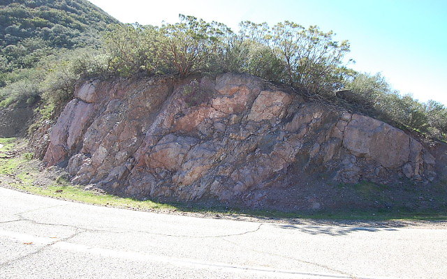 DSC 0242