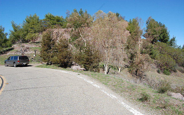 DSC 0244
