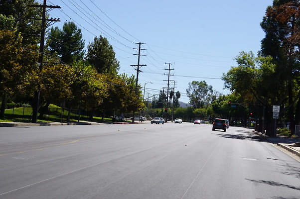 DSC05103