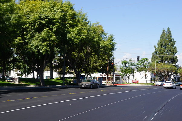DSC05087