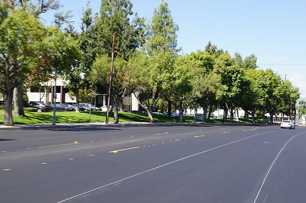 DSC05085