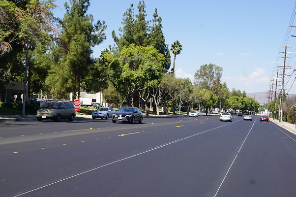 DSC05079