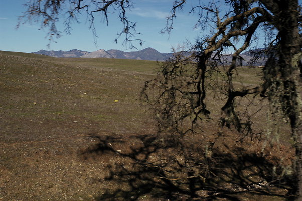 Armour Ranch Rd EB 0277