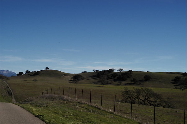 Armour Ranch Rd EB 0274