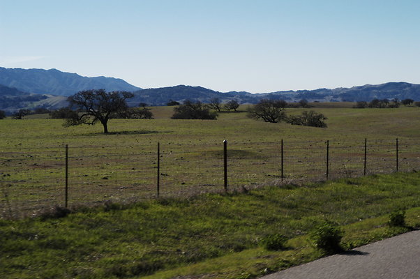 Armour Ranch Rd WB 0252