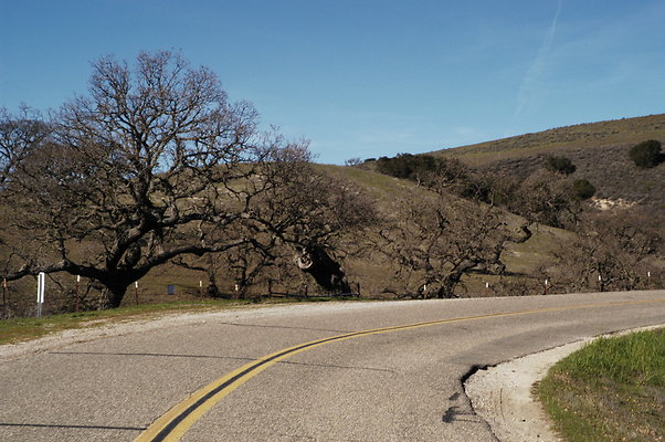 Armour Ranch Rd WB 0230