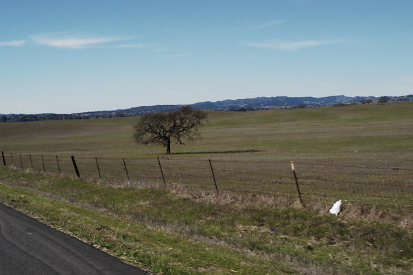 Armour Ranch Rd WB 0258
