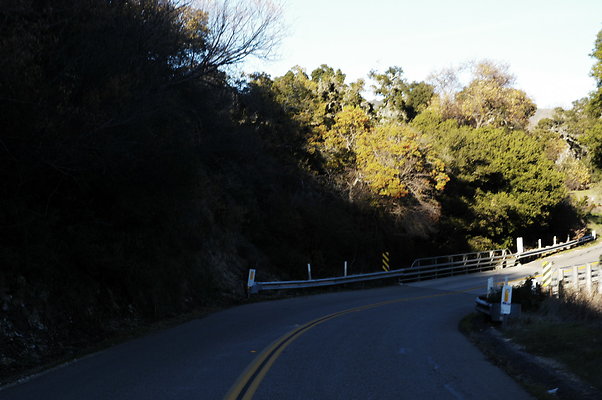 Jamala Rd EB 0819