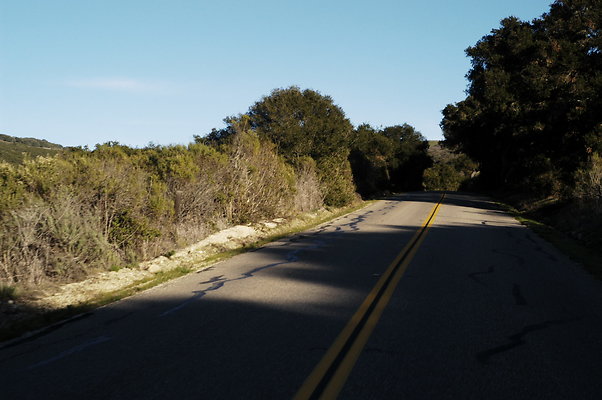 Jamala Rd EB 0823