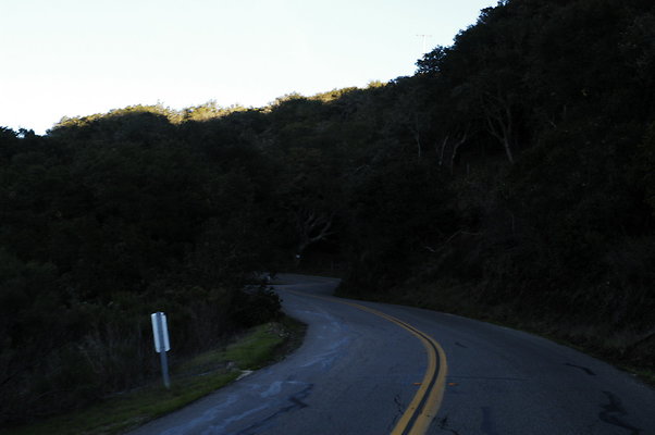 Jamala Rd EB 0824