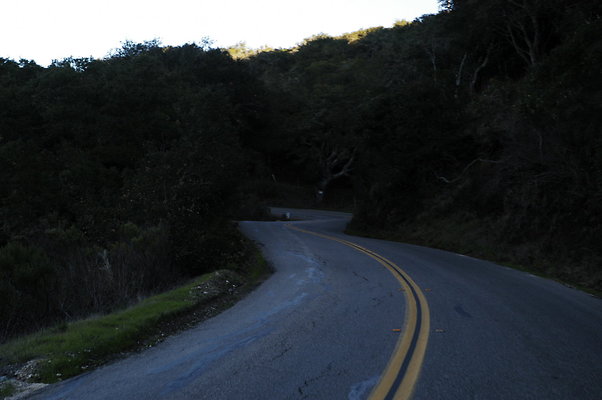 Jamala Rd EB 0825