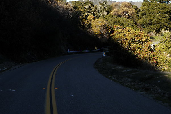 Jamala Rd EB 0818