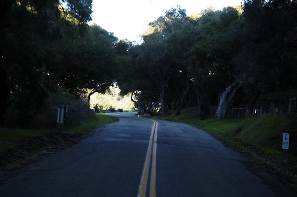 Jamala Rd EB 0802