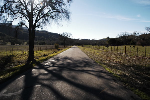 Alisal Rd SB 0613