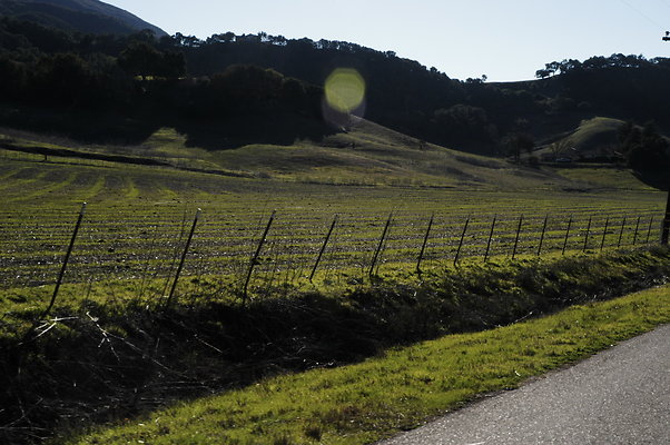 Alisal Rd SB 0627
