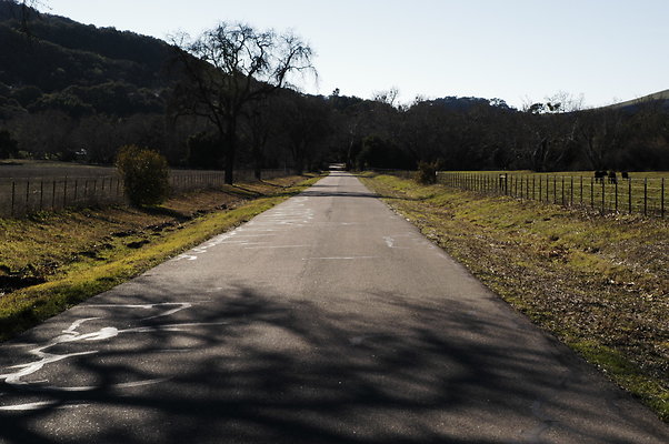 Alisal Rd SB 0614