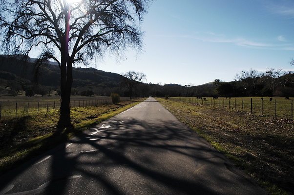 Alisal Rd SB 0610