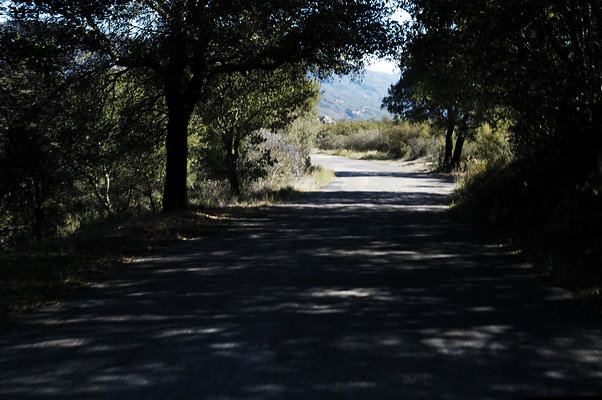 El Camino Cielo Rd EB 0165