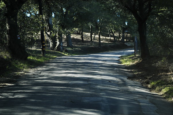 El Camino Cielo Rd WB 0050