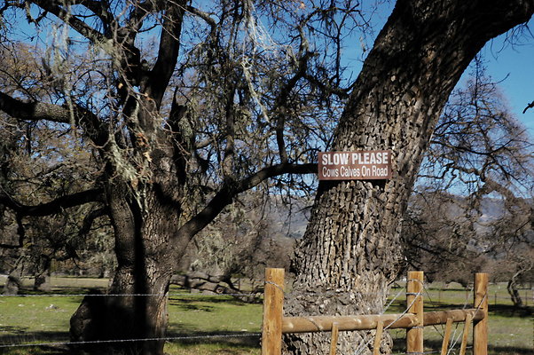 Happy Canyon Rd NB 0344