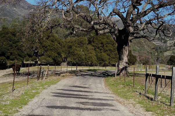 Happy Canyon Rd NB 0352