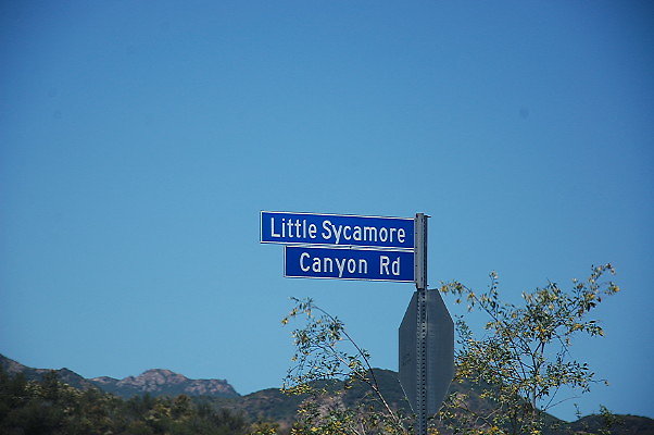 Little Sycamore Road Pixx